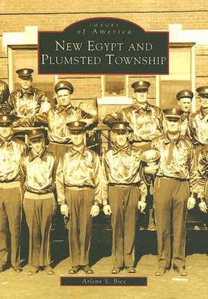 New Egypt & Plumsted Township de Arlene S. Bice