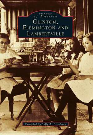 Clinton, Flemington & Lambertville de Sally Freedman