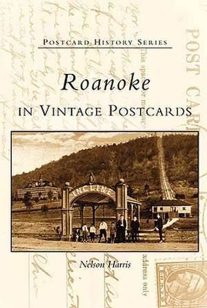 Roanoke in Vintage Postcards de C. Nelson Harris