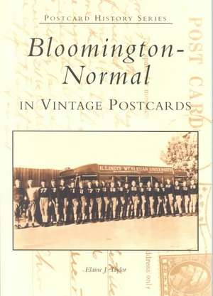 Bloomington-Normal in Vintage Postcards de Elaine J. Taylor