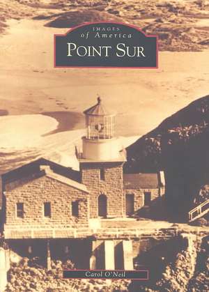 Point Sur, CA de Carol O'Neil