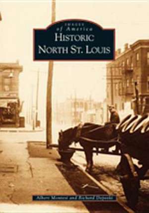 Historic North St. Louis de Albert Montesi