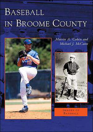 Baseball in Broome County de Marvin A. Cohen