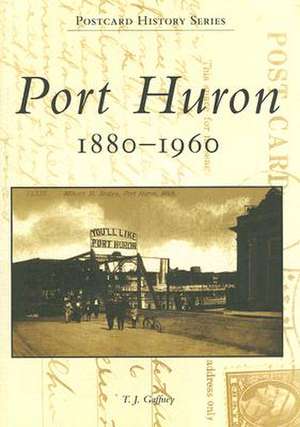 Port Huron, 1880-1960 de T. J. Gaffney