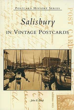 Salisbury in Vintage Postcards de John E. Jacob