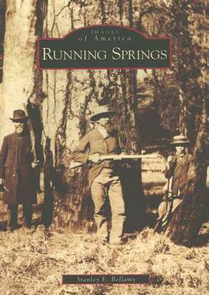 Running Springs de Stanley E. Bellamy