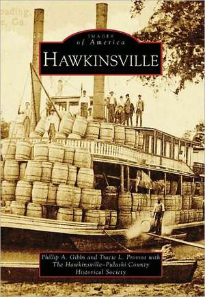 Hawkinsville de Phillip A. Gibbs