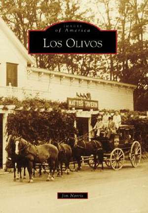 Los Olivos de Jim Norris