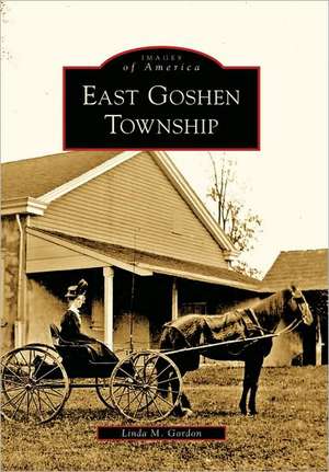 East Goshen Township de Linda M. Gordon