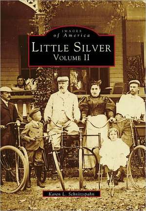 Little Silver: Volume II de Karen L. Schnitzspahn