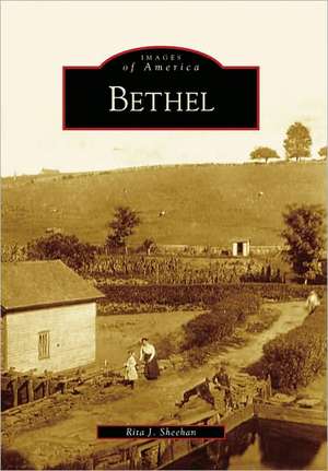 Bethel de Rita J. Sheehan