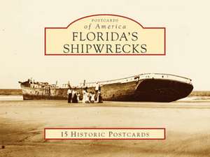 Florida's Shipwrecks de Michael Barnette