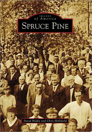 Spruce Pine de David Biddix