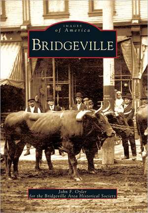 Bridgeville de John F Oyler