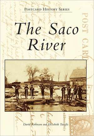 The Saco River de David Robinson