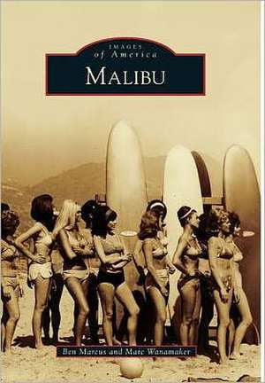 Malibu de Ben Marcus