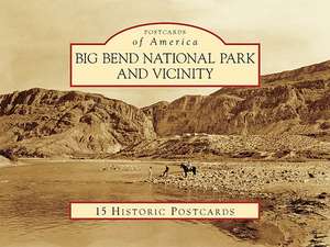 Big Bend National Park and Vicinity de Thomas C. Alex