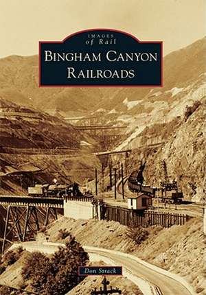 Bingham Canyon Railroads de Don Strack