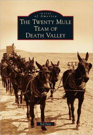 The Twenty Mule Team of Death Valley de Ted Faye