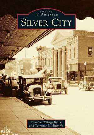 Silver City de Carolyn O'Bagy Davis