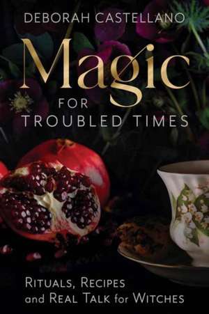 Magic for Troubled Times de Deborah Castellano