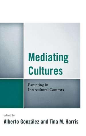 Mediating Cultures de Alberto González