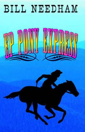 Ep Pony Express: Strategic Thought for a World in Crisis de Bill Needham