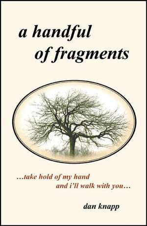 A Handful of Fragments de Dan Knapp