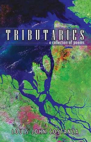 Tributaries de Louis John Costanza