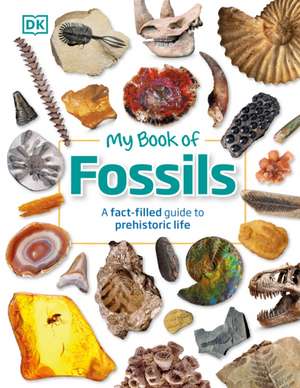 My Book of Fossils de Dk