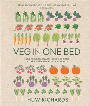 Veg in One Bed New Edition de Huw Richards