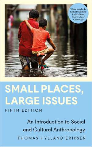 Small Places, Large Issues: An Introduction to Social and Cultural Anthropology de Thomas Hylland Eriksen