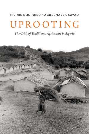 Uprooting de P Bourdieu