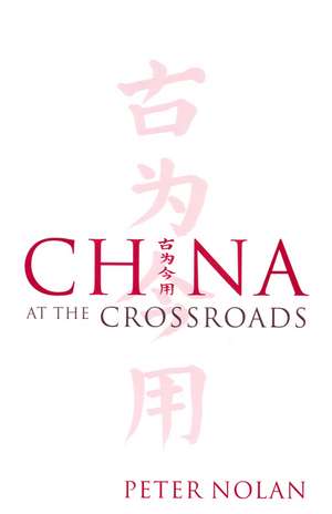 China at the Crossroads de P Nolan