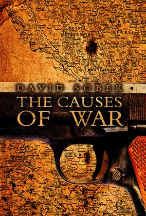 The Causes of War de D Sobek