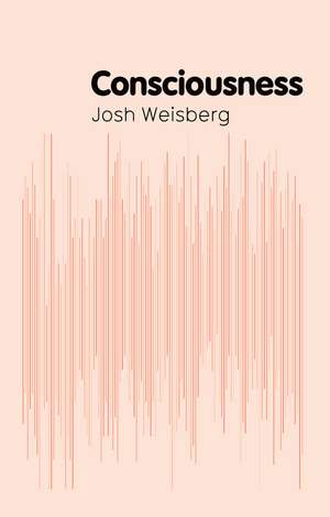 Consciousness de J Weisberg