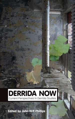 Derrida Now de John W P Phillips