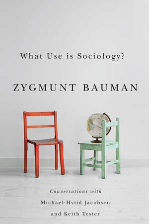 What Use is Sociology? – Conversations with Michael Hviid Jacobsen and Keith Tester de Z Bauman