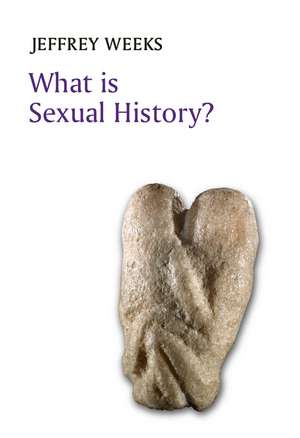 What is Sexual History? de J. Weeks