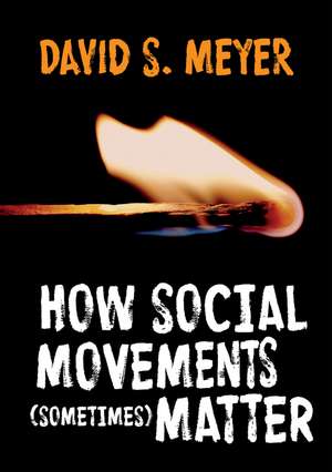 How Social Movements (Sometimes) Matter de DS Meyer