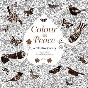 Colour in Peace – A reflective journey de James Newman Grey