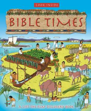 Look Inside Bible Times de Lois Rock