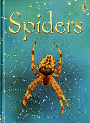 Spiders de Rebecca Gilpin