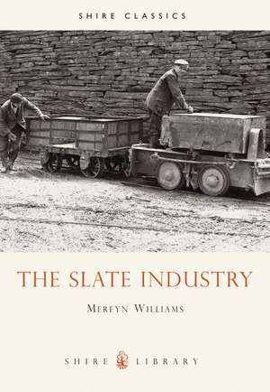 The Slate Industry de Merfyn Williams