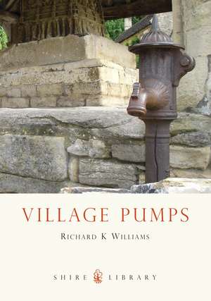 Village Pumps de Richard K. Williams