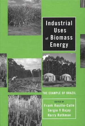 Industrial Uses of Biomass Energy: The Example of Brazil de Frank Rosillo-Calle