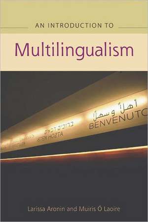 An Advanced Guide to Multilingualism de Larissa Aronin