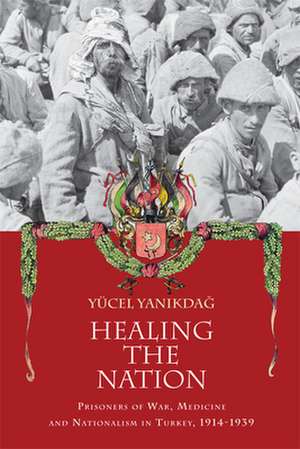 Healing the Nation de Yucel Yanikdag