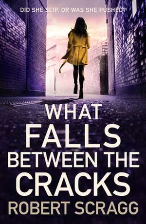 What Falls Between the Cracks de Robert Scragg