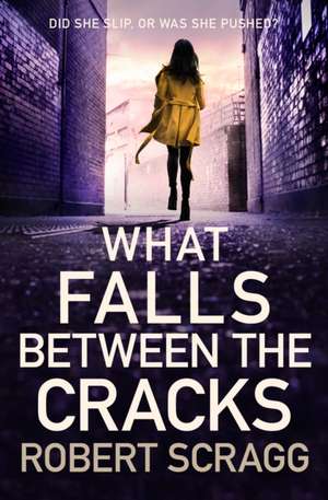 What Falls Between the Cracks de Robert Scragg